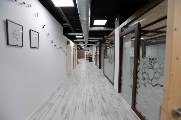 Oficinas de "Las hormigas negras"