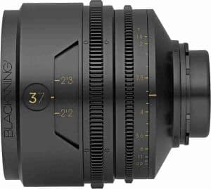 blackwing tribe7 37mm
